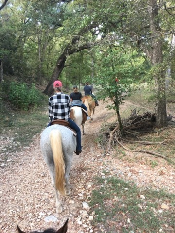 Riders on horseback on a shaded trail at Twin Elm